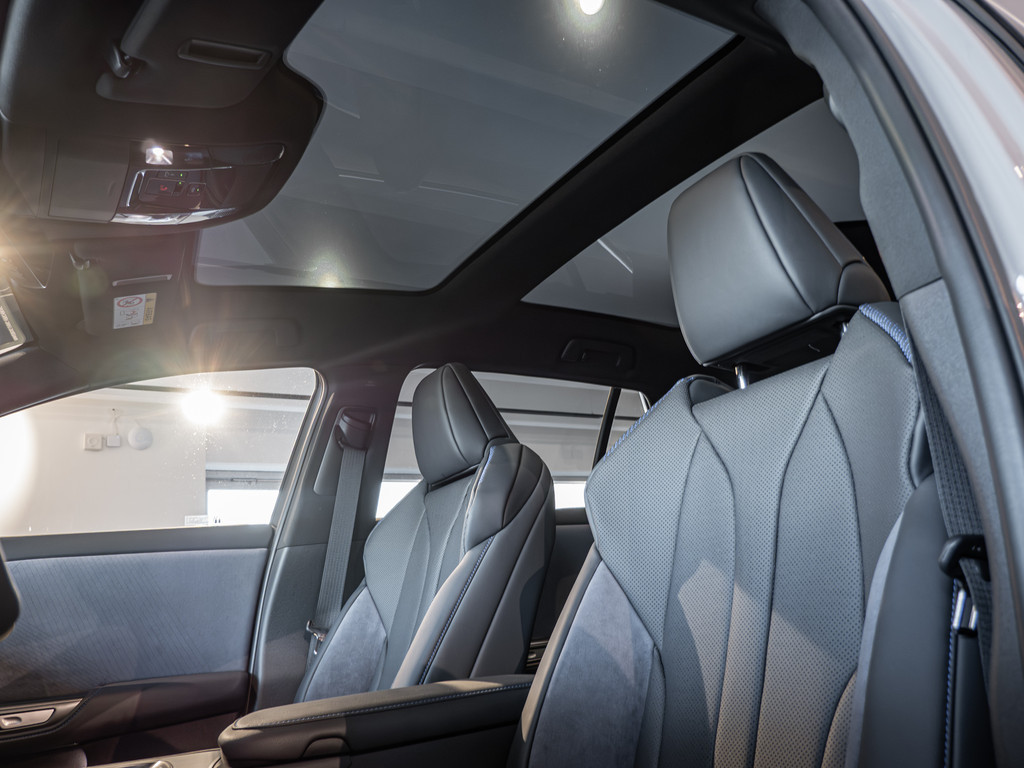 Fahrzeugansicht LEXUS RZ 550e F-Sport - Bild 16