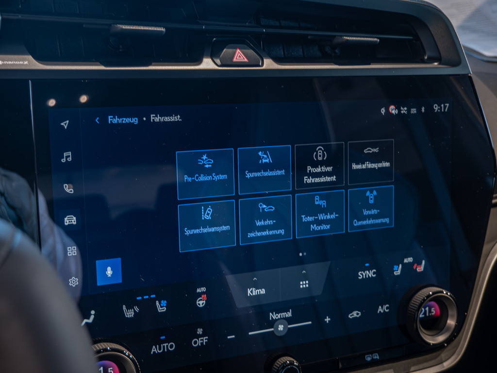 Fahrzeugansicht LEXUS RZ 550e F-Sport - Bild 19