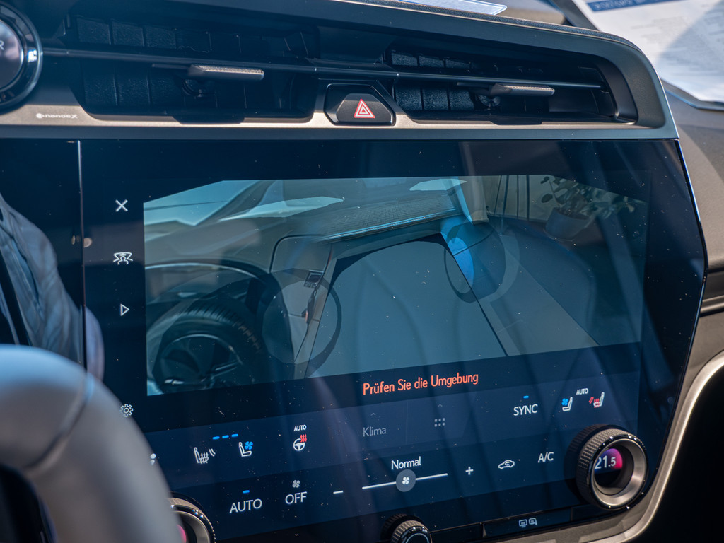 Fahrzeugansicht LEXUS RZ 550e F-Sport - Bild 20