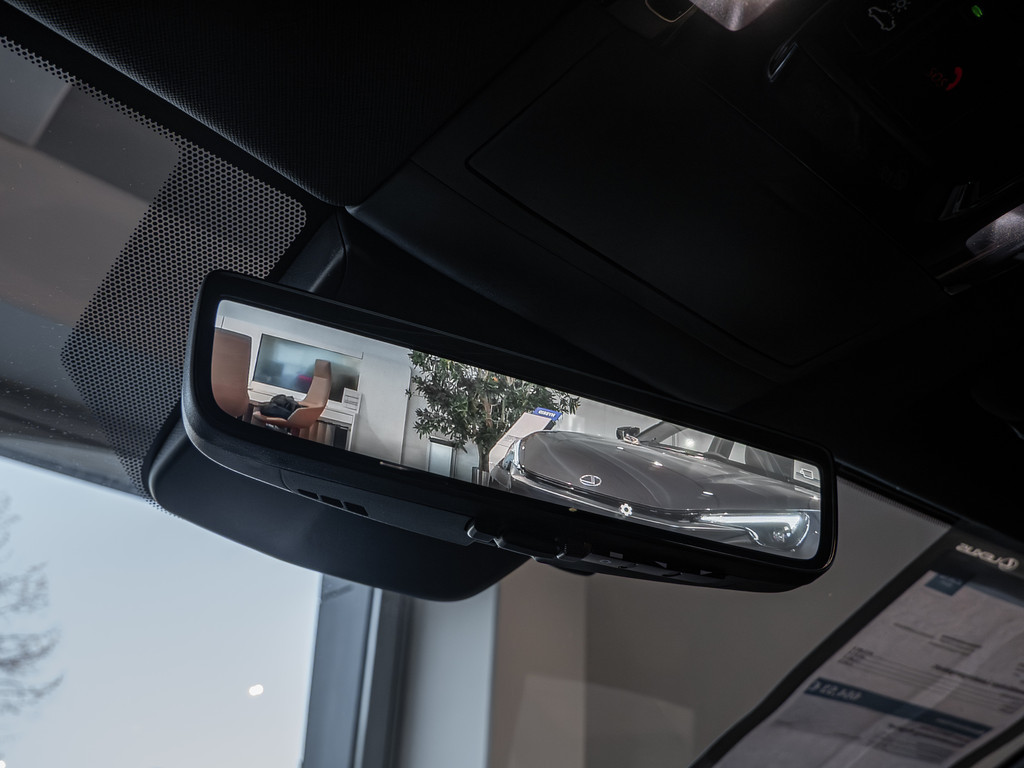 Fahrzeugansicht LEXUS RZ 550e F-Sport - Bild 28