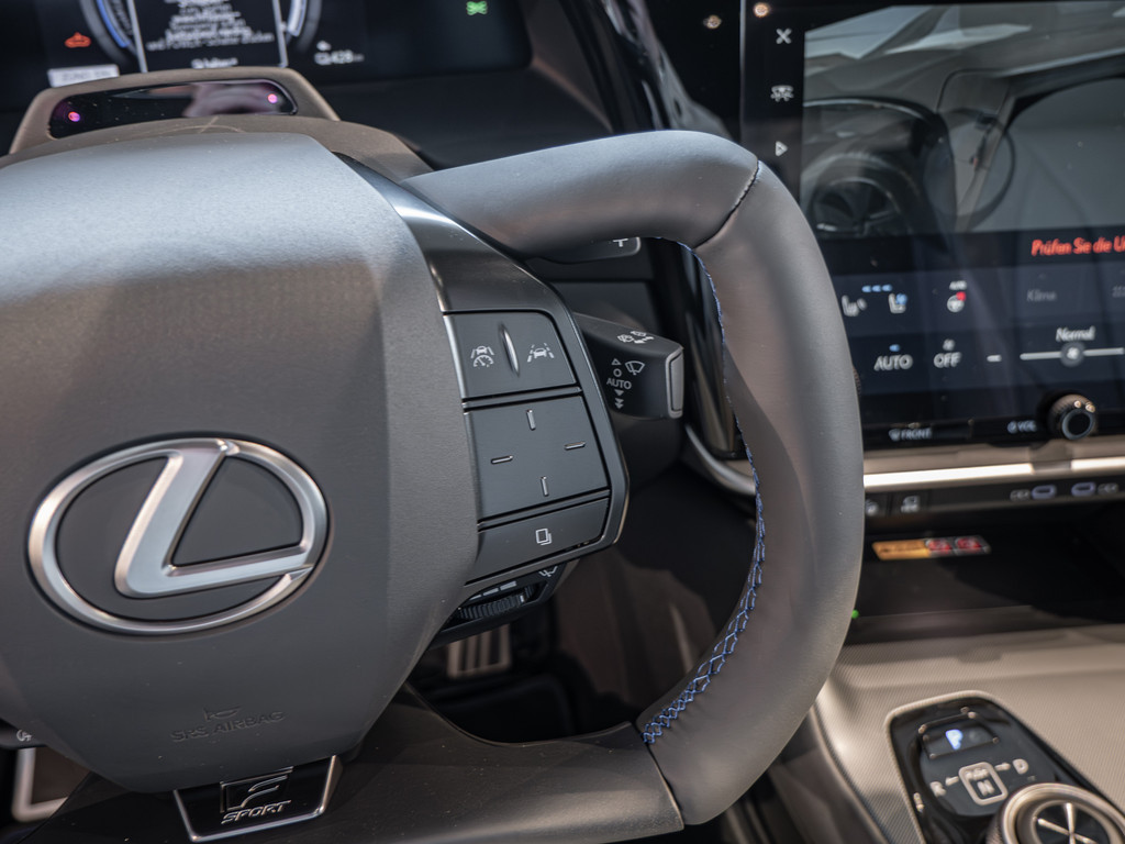 Fahrzeugansicht LEXUS RZ 550e F-Sport - Bild 31