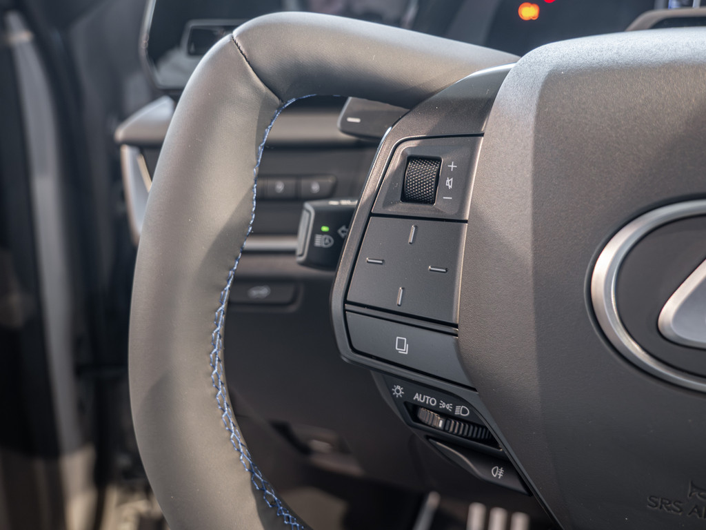 Fahrzeugansicht LEXUS RZ 550e F-Sport - Bild 32