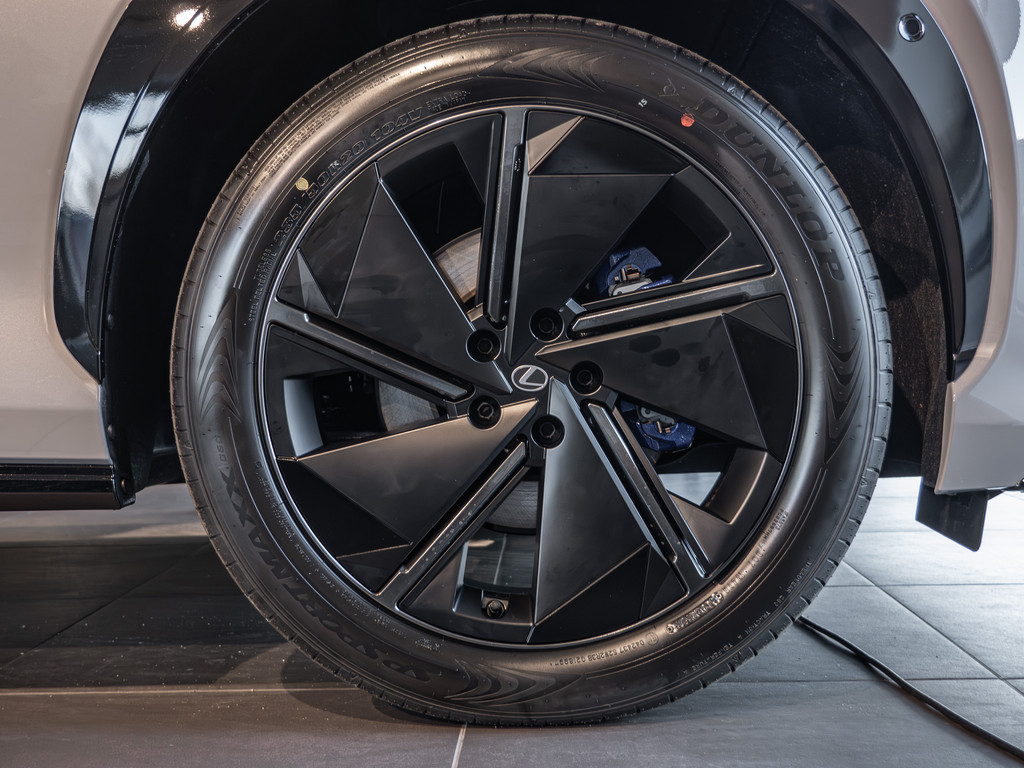 Fahrzeugansicht LEXUS RZ 550e F-Sport - Bild 44