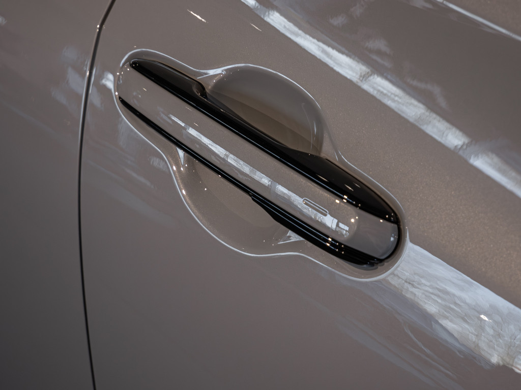 Fahrzeugansicht LEXUS RZ 550e F-Sport - Bild 2