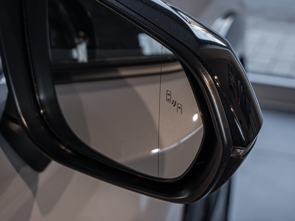 Fahrzeugansicht LEXUS RZ 550e F-Sport - Bild 3