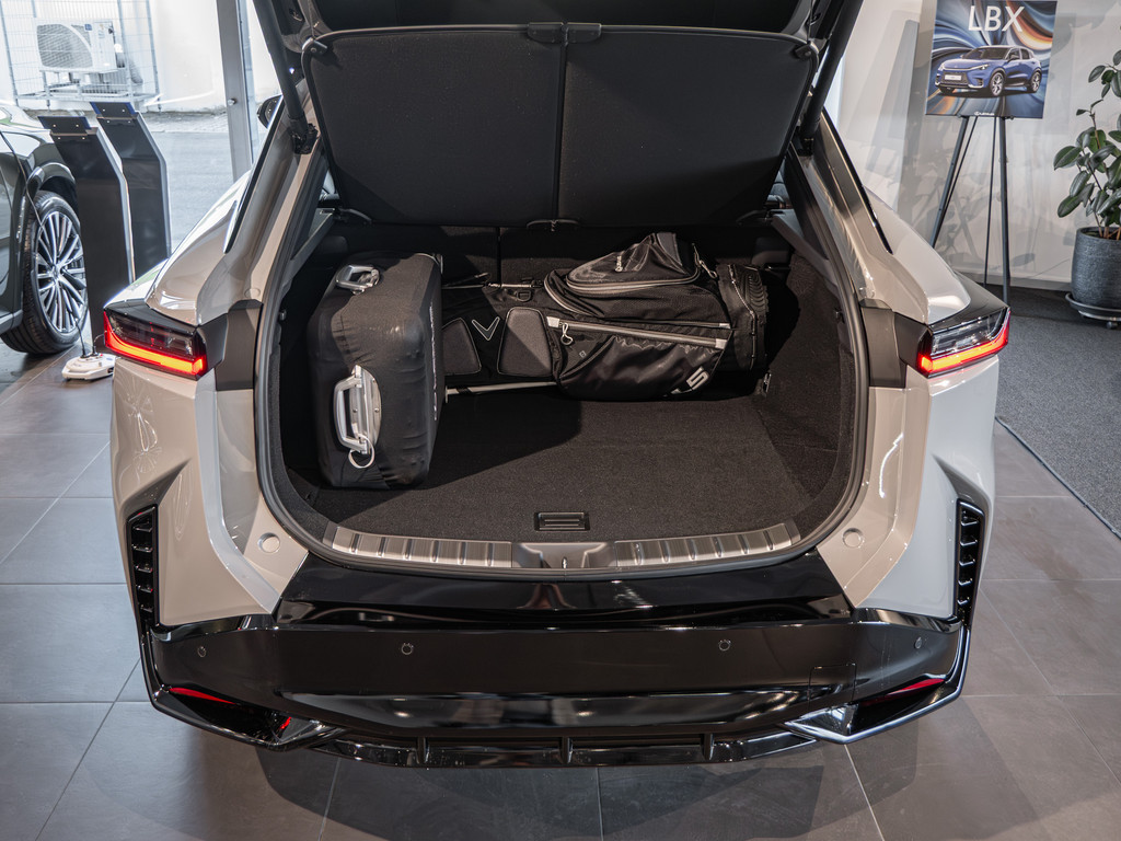 Fahrzeugansicht LEXUS RZ 550e F-Sport - Bild 11