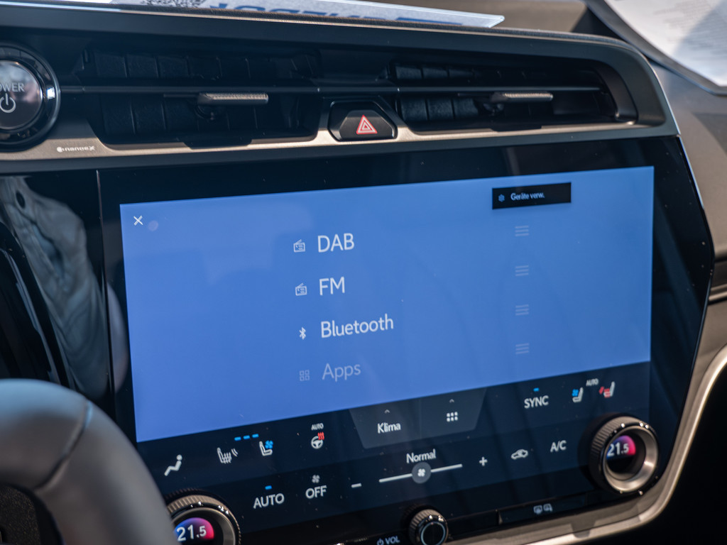 Fahrzeugansicht LEXUS RZ 550e F-Sport - Bild 17