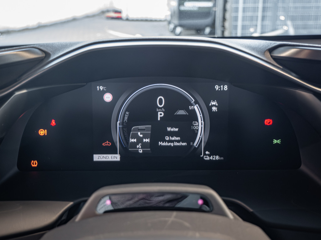 Fahrzeugansicht LEXUS RZ 550e F-Sport - Bild 29