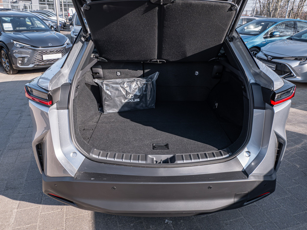 Fahrzeugansicht LEXUS RZ 500e DIRECT4 Executive - Bild 7