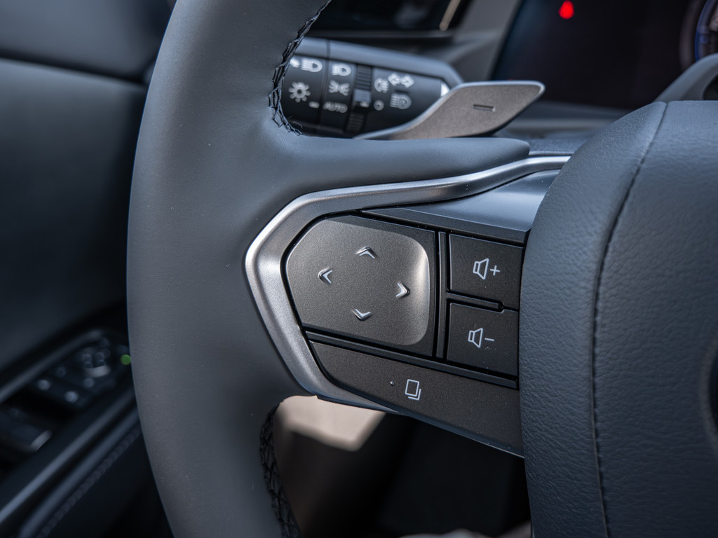 Fahrzeugansicht LEXUS RZ 500e DIRECT4 Executive - Bild 30