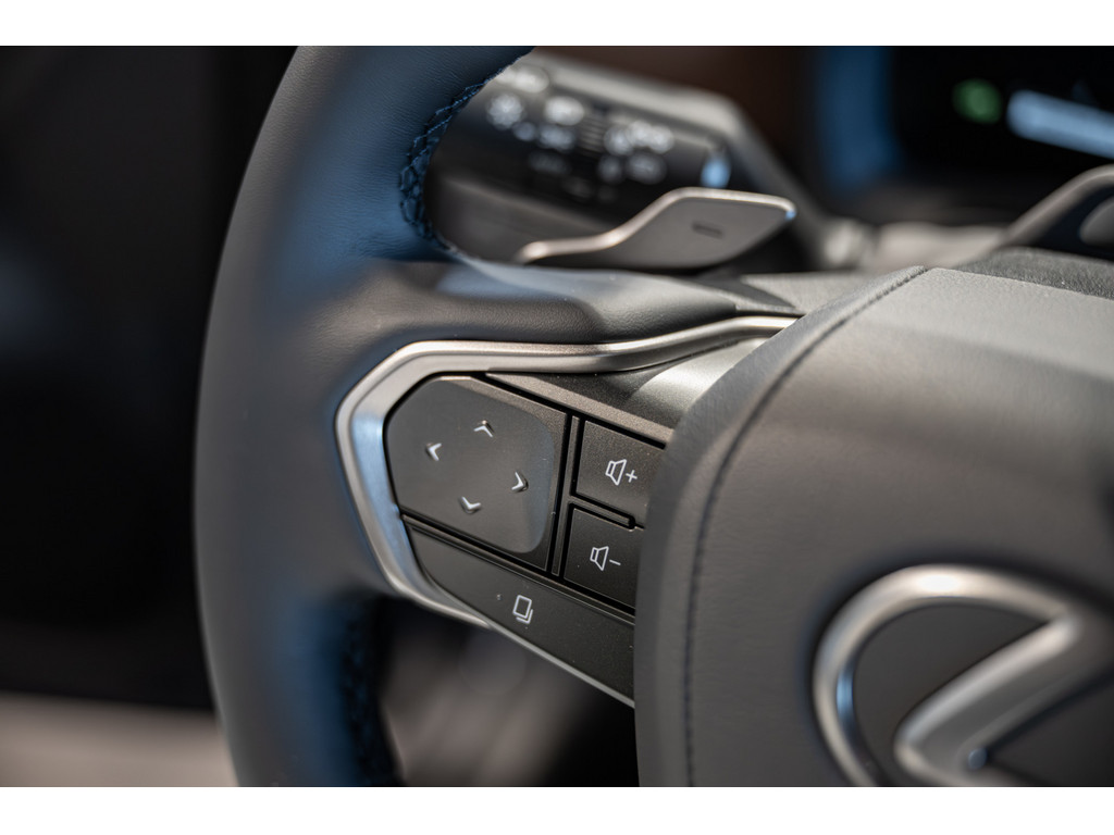 Fahrzeugansicht LEXUS LBX Relax - Bild 31