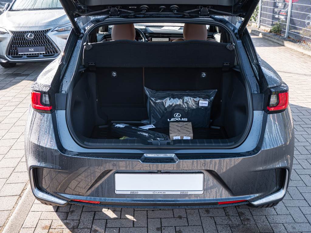 Fahrzeugansicht LEXUS LBX Relax - Bild 9