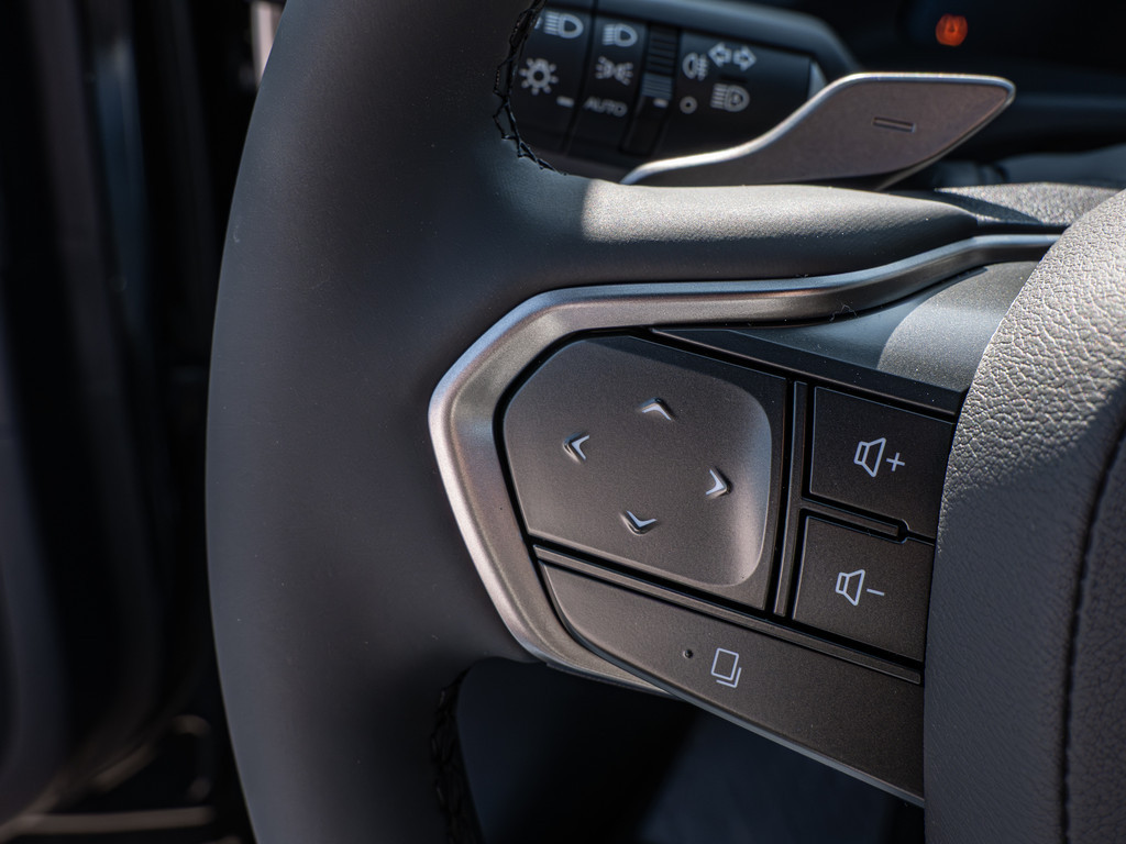 Fahrzeugansicht LEXUS RZ 350e Premium - Bild 31