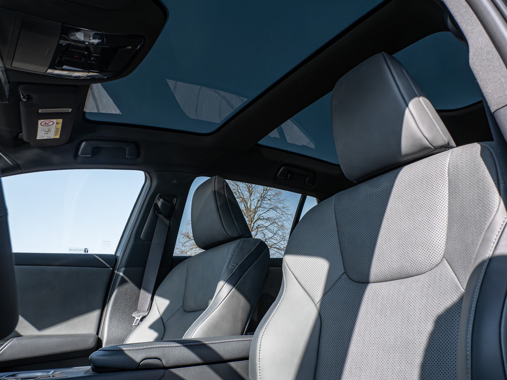 Fahrzeugansicht LEXUS RZ 350e Premium - Bild 39