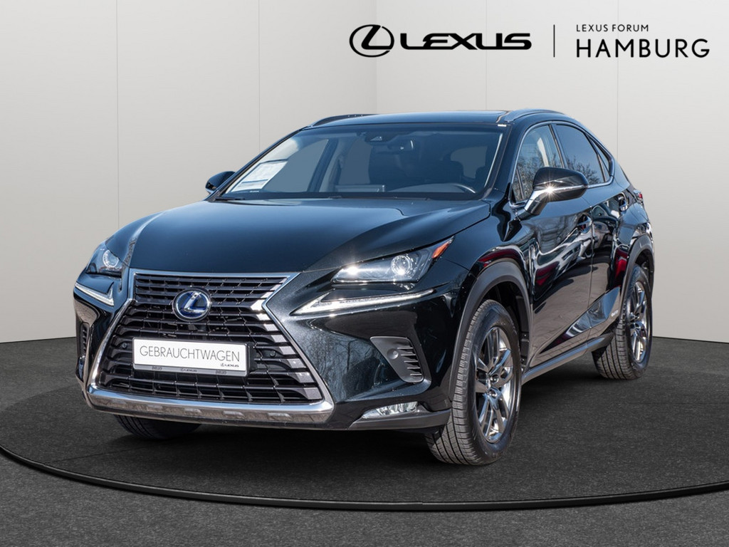LEXUS NX 300h E-Four Amazing