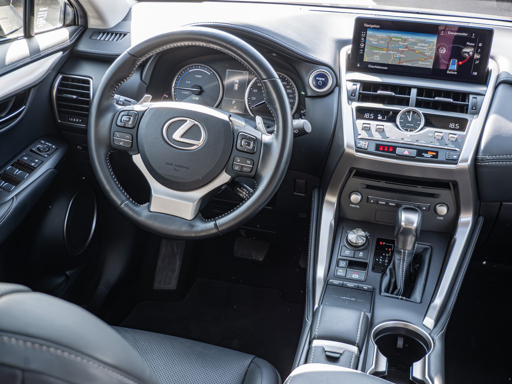 Fahrzeugansicht LEXUS NX 300h E-Four Amazing - Bild 6