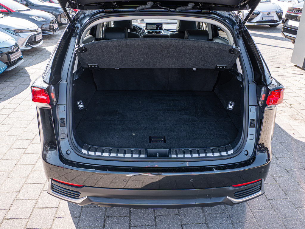 Fahrzeugansicht LEXUS NX 300h E-Four Amazing - Bild 9