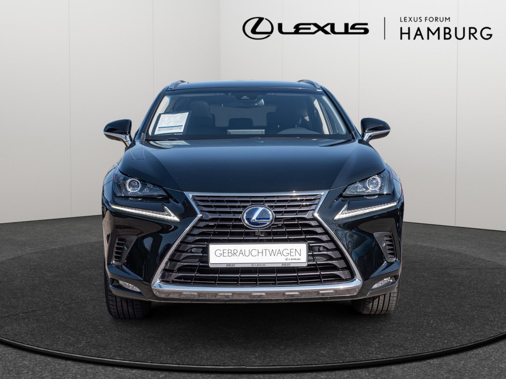 Fahrzeugansicht LEXUS NX 300h E-Four Amazing - Bild 12