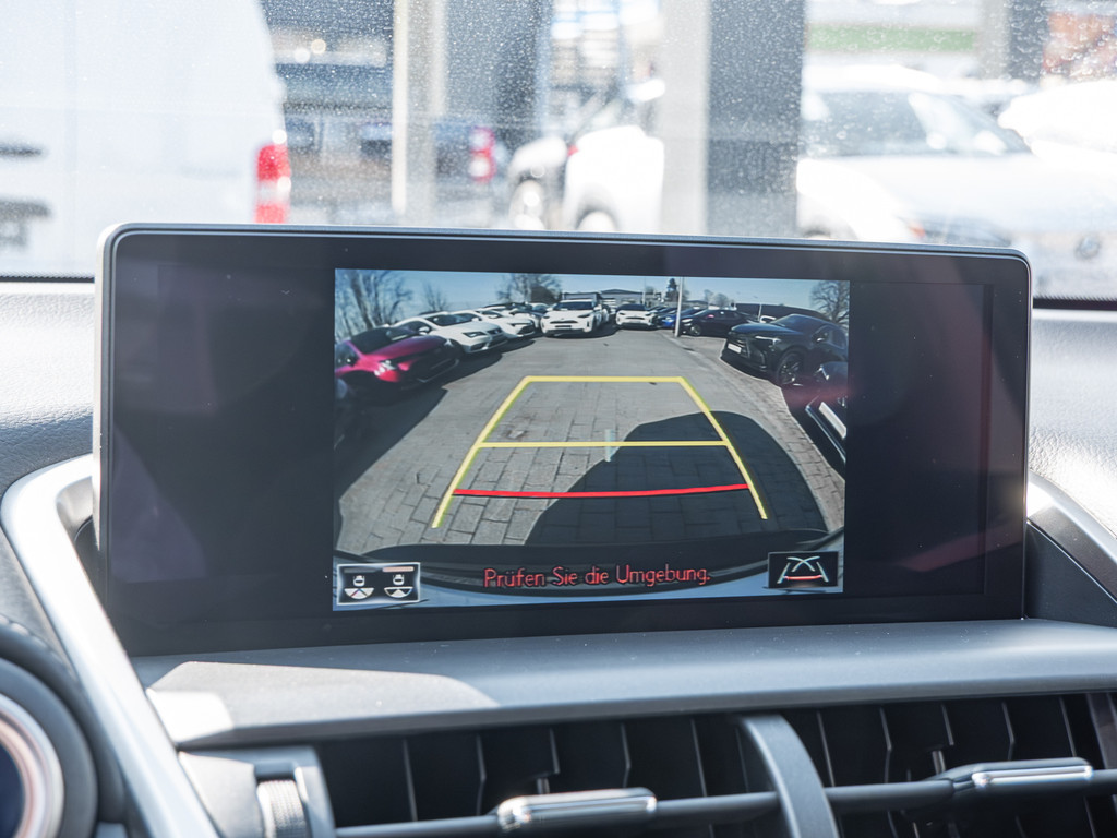 Fahrzeugansicht LEXUS NX 300h E-Four Amazing - Bild 15