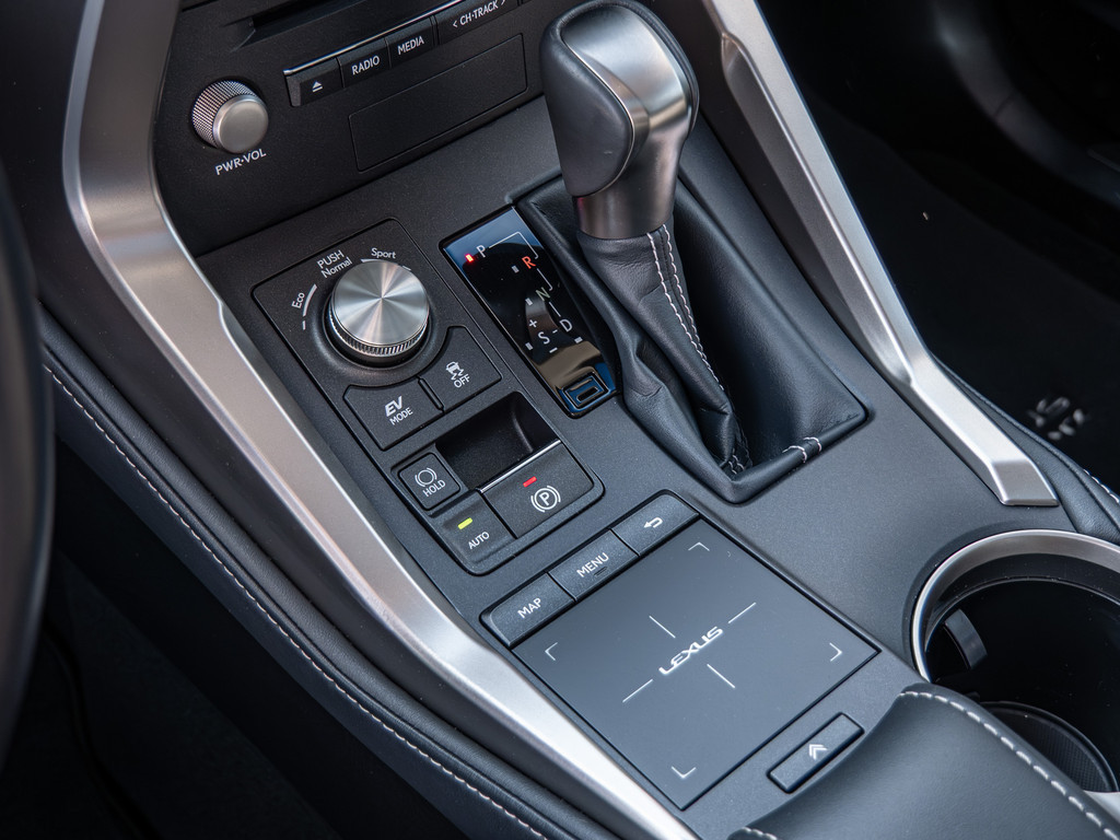 Fahrzeugansicht LEXUS NX 300h E-Four Amazing - Bild 18