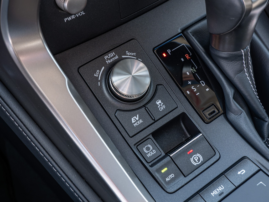 Fahrzeugansicht LEXUS NX 300h E-Four Amazing - Bild 19