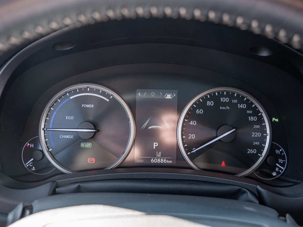 Fahrzeugansicht LEXUS NX 300h E-Four Amazing - Bild 22