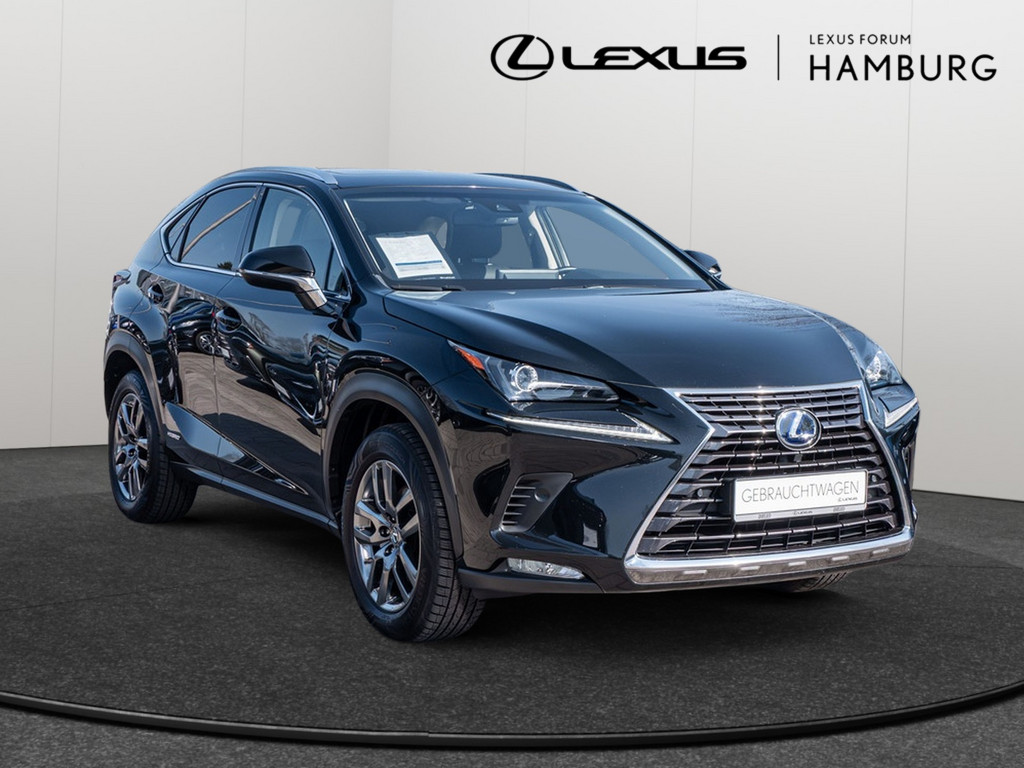 Fahrzeugansicht LEXUS NX 300h E-Four Amazing - Bild 23