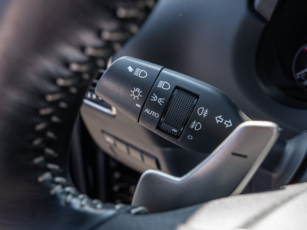 Fahrzeugansicht LEXUS NX 300h E-Four Amazing - Bild 26