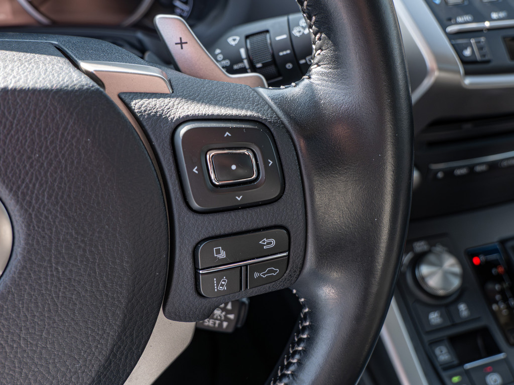 Fahrzeugansicht LEXUS NX 300h E-Four Amazing - Bild 28