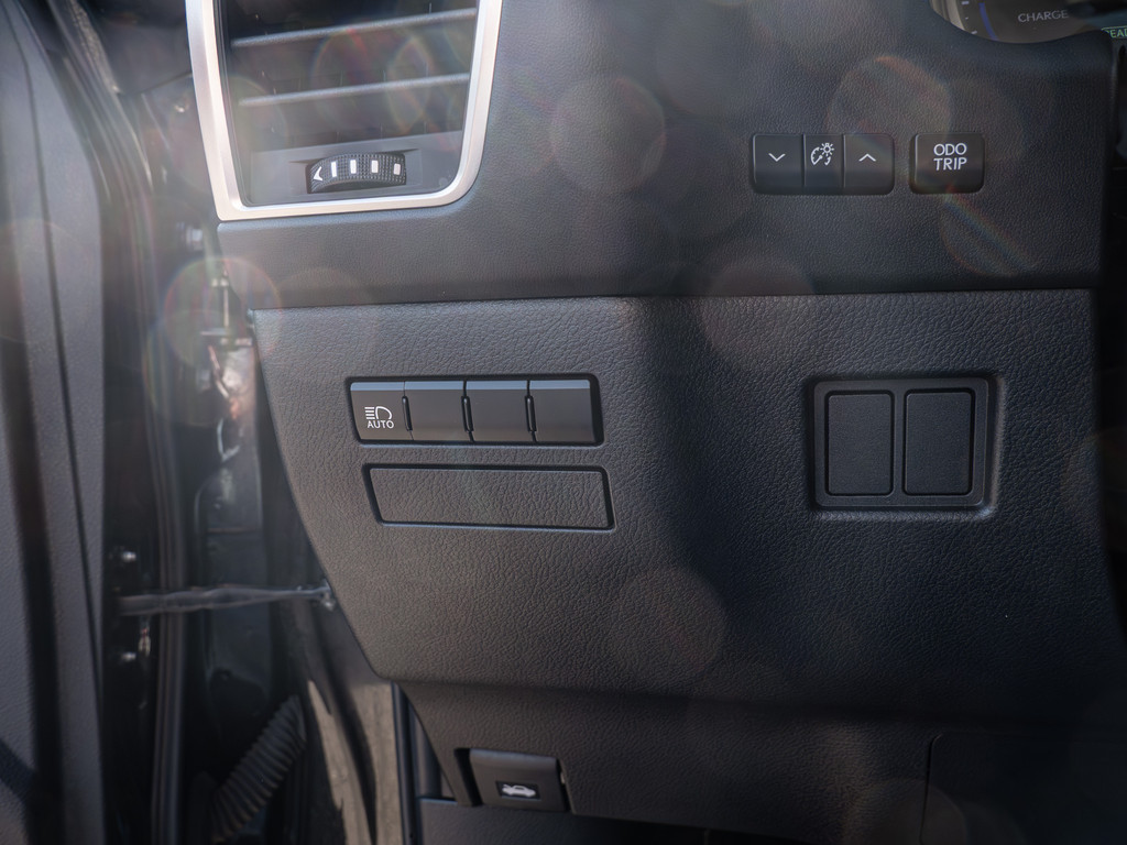 Fahrzeugansicht LEXUS NX 300h E-Four Amazing - Bild 31