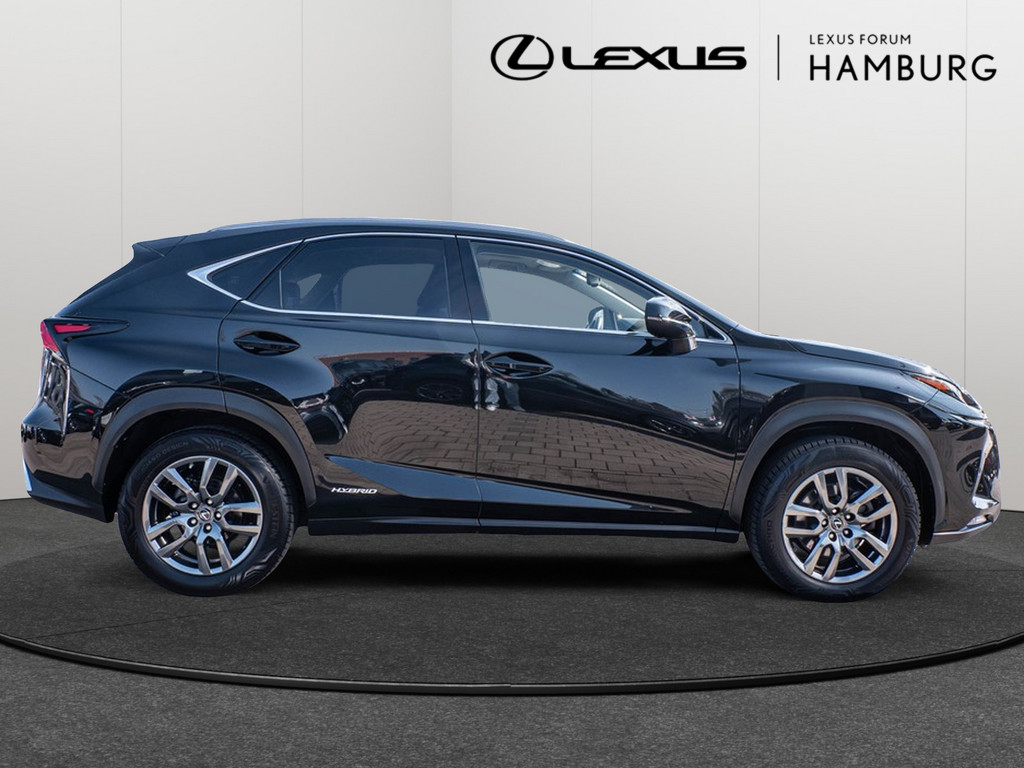 Fahrzeugansicht LEXUS NX 300h E-Four Amazing - Bild 34