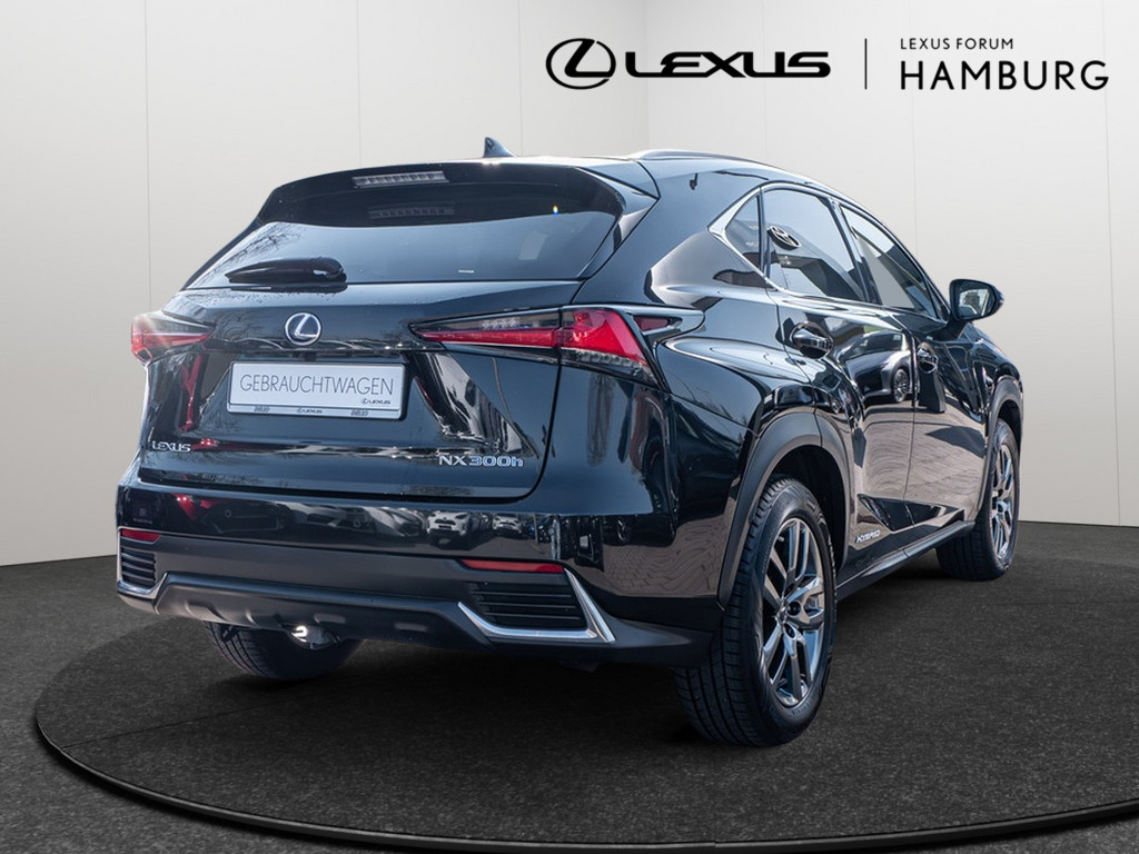 Fahrzeugansicht LEXUS NX 300h E-Four Amazing - Bild 37