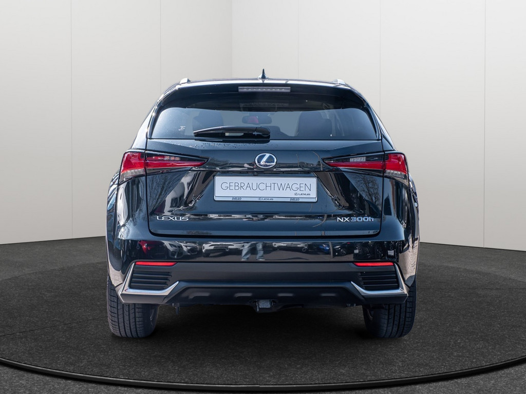 Fahrzeugansicht LEXUS NX 300h E-Four Amazing - Bild 38