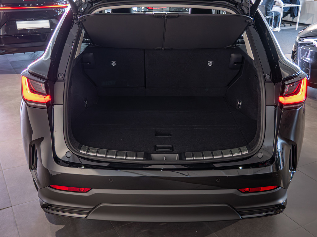 Fahrzeugansicht LEXUS NX 450h + Executive - Bild 6