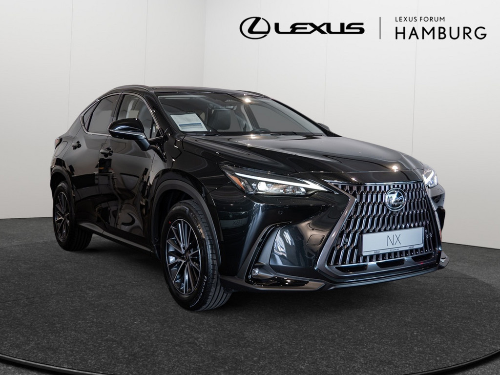 Fahrzeugansicht LEXUS NX 450h + Executive - Bild 12