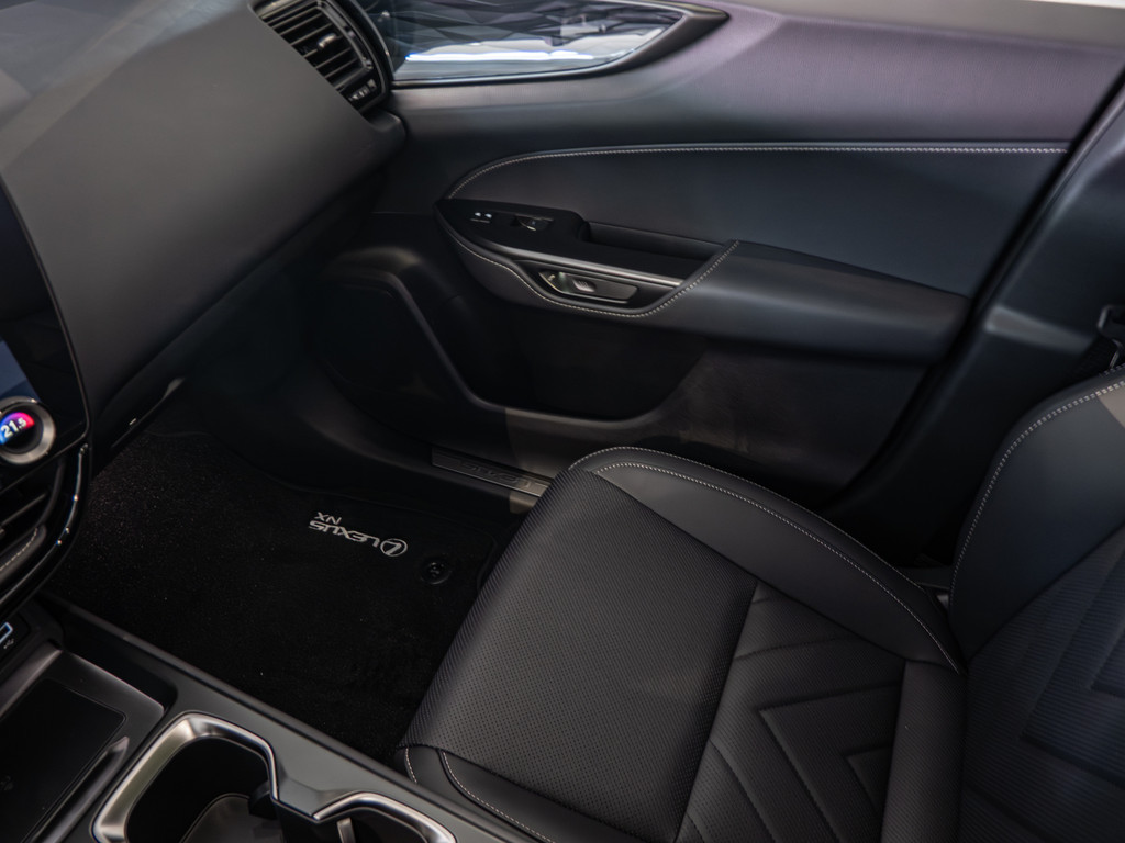 Fahrzeugansicht LEXUS NX 450h + Executive - Bild 18