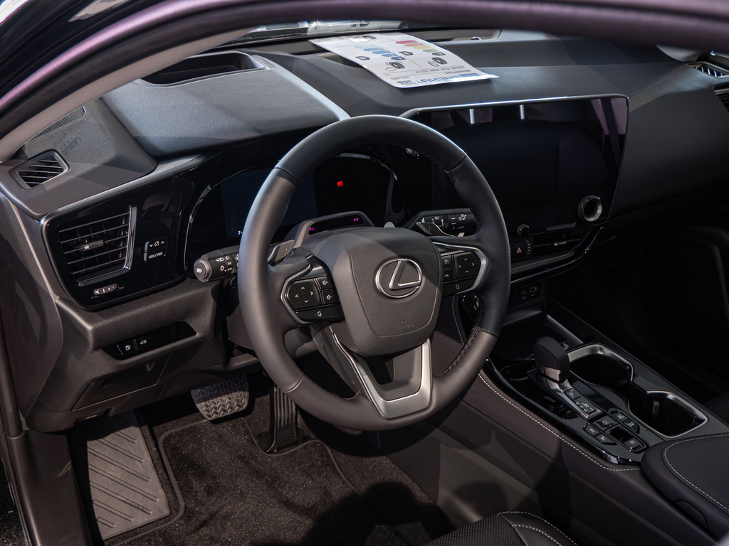 Fahrzeugansicht LEXUS NX 450h + Executive - Bild 22