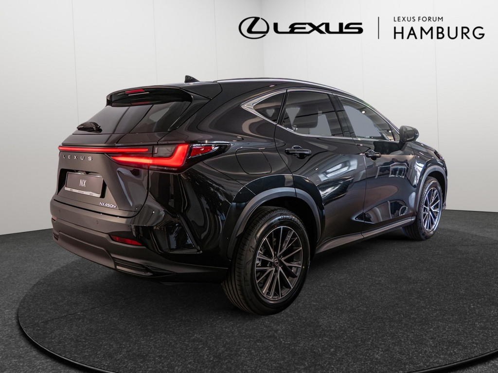 Fahrzeugansicht LEXUS NX 450h + Executive - Bild 23