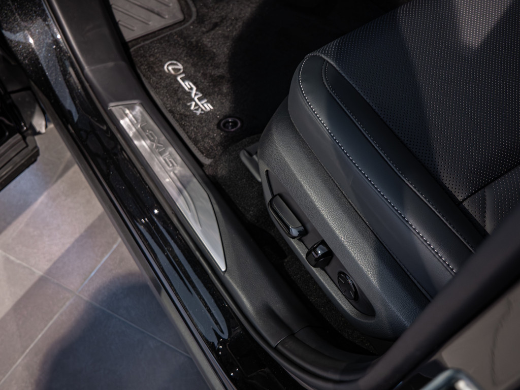 Fahrzeugansicht LEXUS NX 450h + Executive - Bild 24