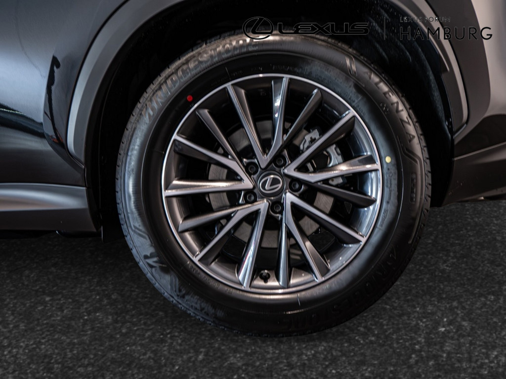 Fahrzeugansicht LEXUS NX 450h + Executive - Bild 28