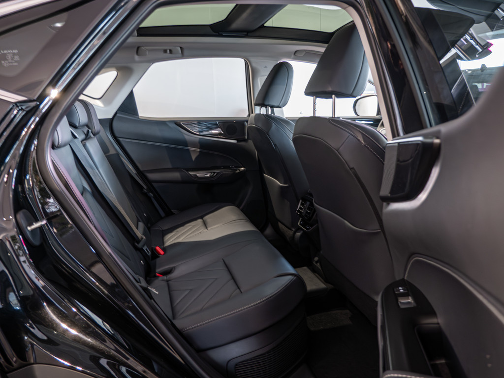 Fahrzeugansicht LEXUS NX 450h + Executive - Bild 32