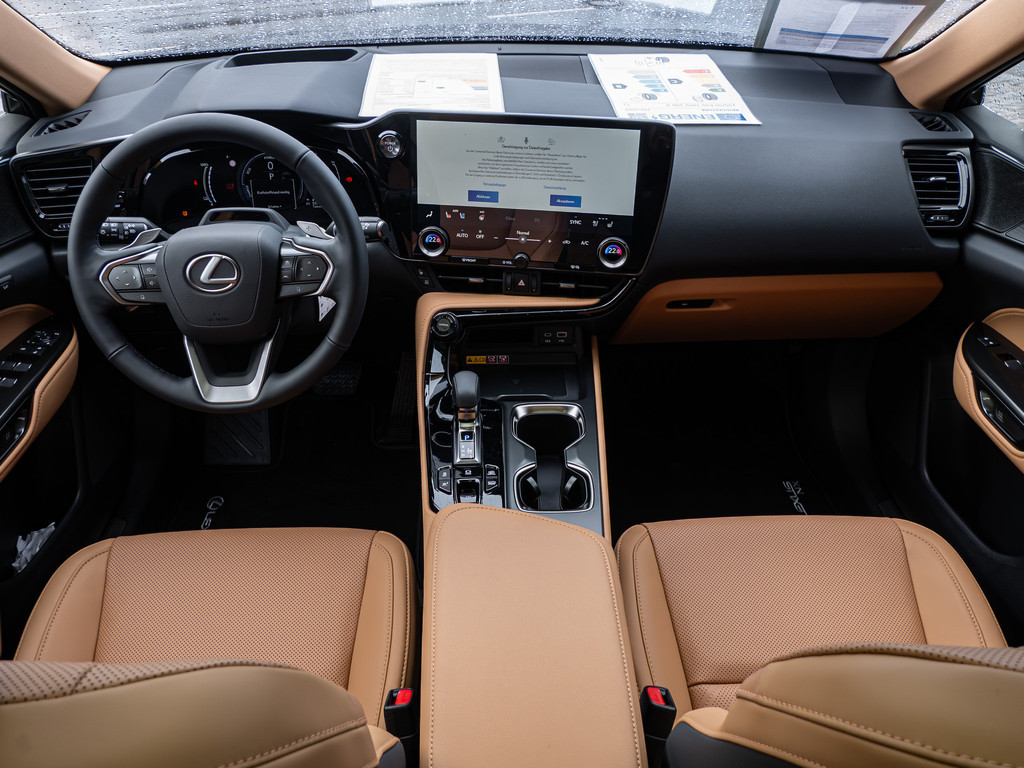 Fahrzeugansicht LEXUS NX 450h + Luxury - Bild 2