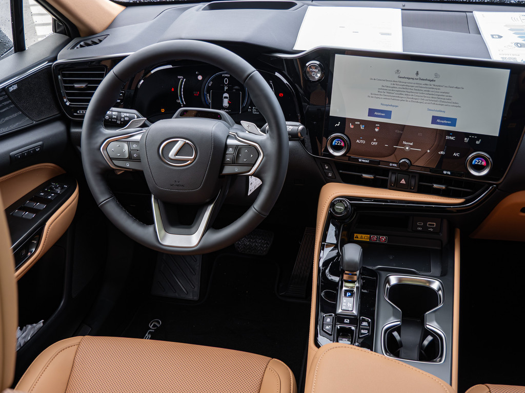 Fahrzeugansicht LEXUS NX 450h + Luxury - Bild 3