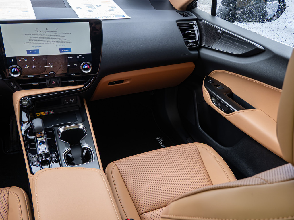 Fahrzeugansicht LEXUS NX 450h + Luxury - Bild 4