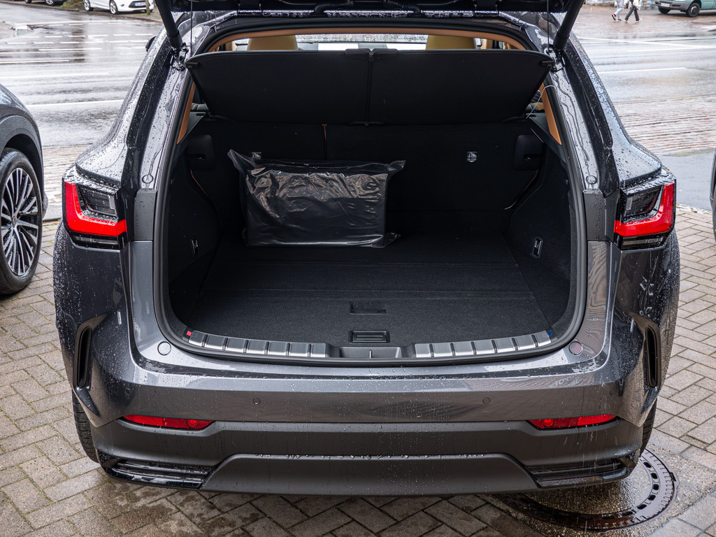 Fahrzeugansicht LEXUS NX 450h + Luxury - Bild 7