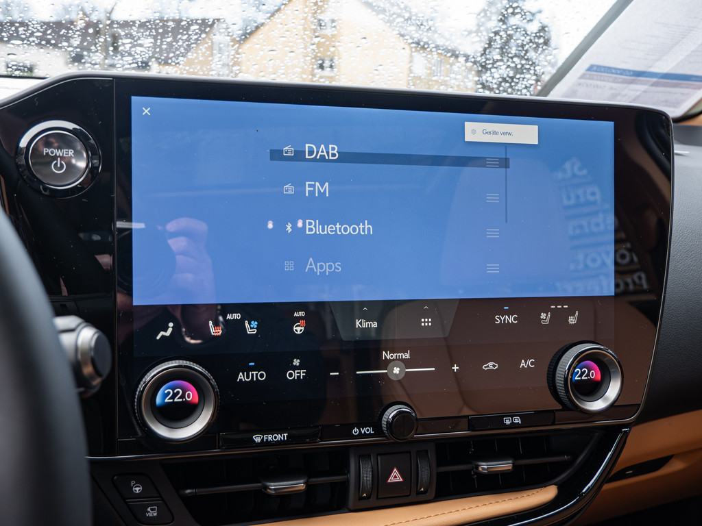 Fahrzeugansicht LEXUS NX 450h + Luxury - Bild 9