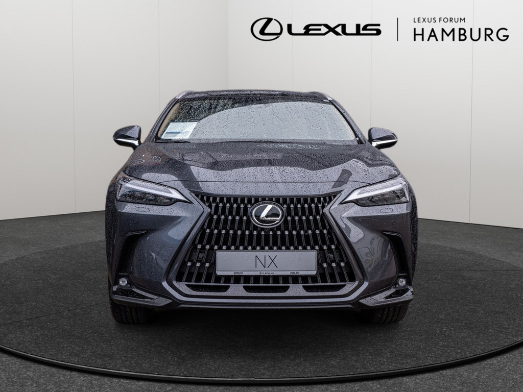 Fahrzeugansicht LEXUS NX 450h + Luxury - Bild 12