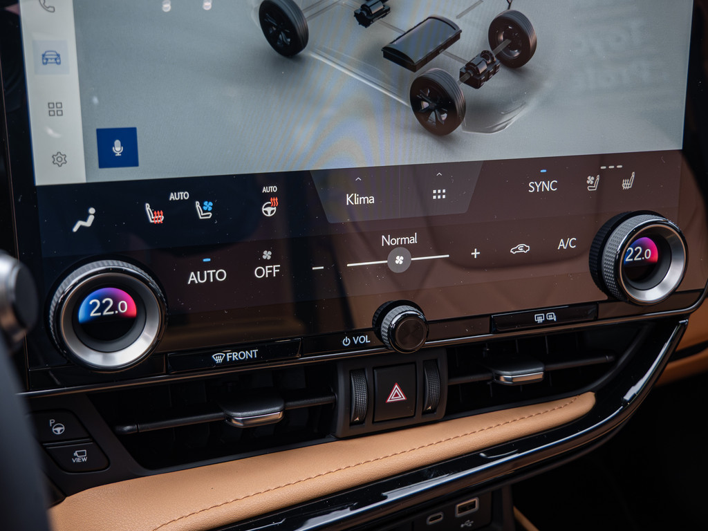 Fahrzeugansicht LEXUS NX 450h + Luxury - Bild 15