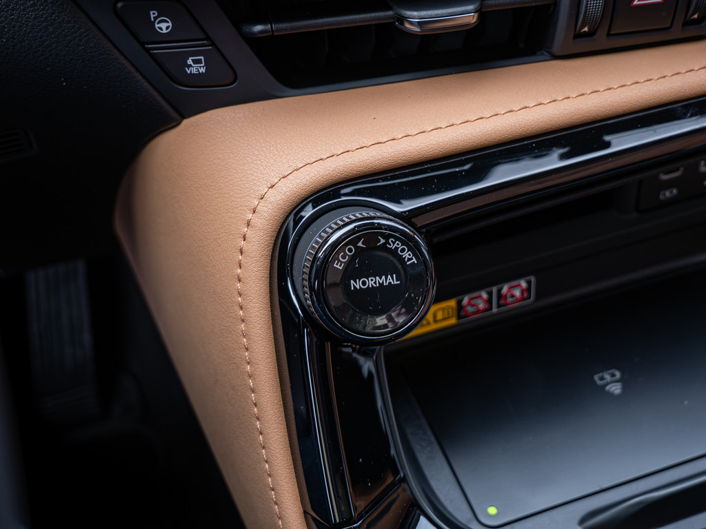 Fahrzeugansicht LEXUS NX 450h + Luxury - Bild 17