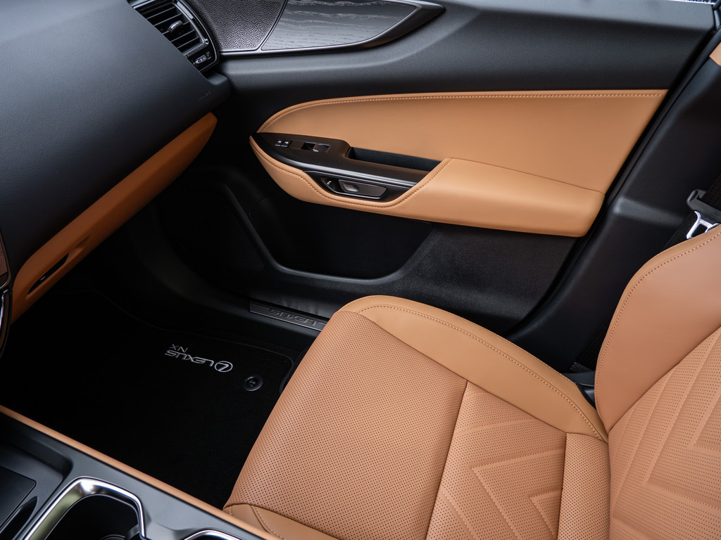 Fahrzeugansicht LEXUS NX 450h + Luxury - Bild 20